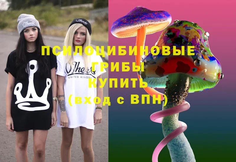 что такое   мега сайт  Псилоцибиновые грибы Cubensis  Андреаполь 